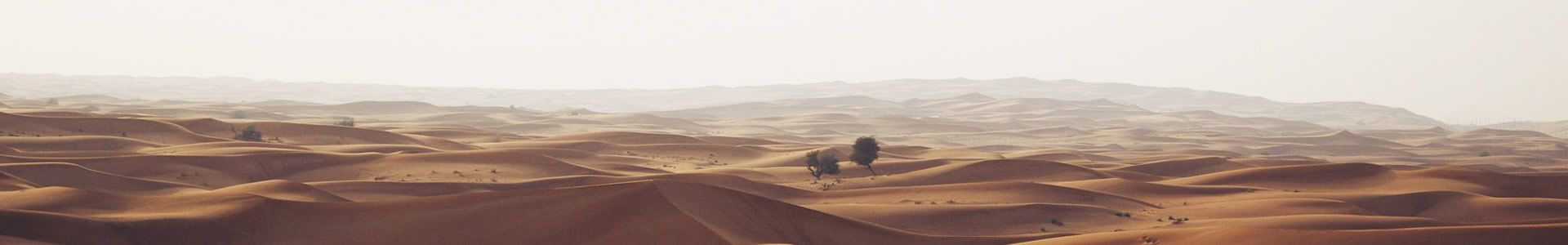 ɽͻƼ޹˾